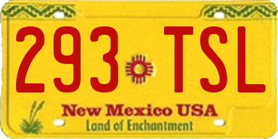 NM license plate 293TSL