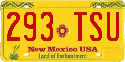 NM license plate 293TSU