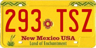 NM license plate 293TSZ