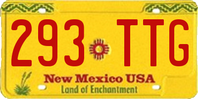 NM license plate 293TTG