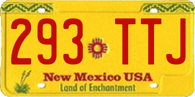 NM license plate 293TTJ