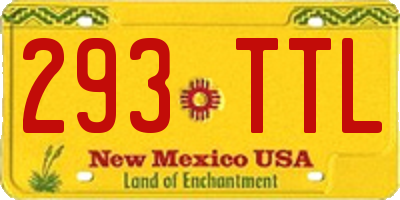 NM license plate 293TTL