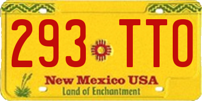 NM license plate 293TTO