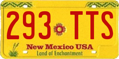 NM license plate 293TTS