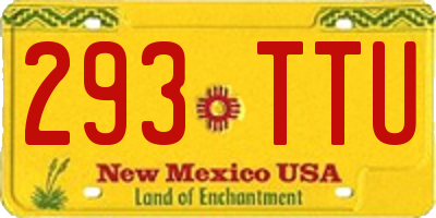NM license plate 293TTU