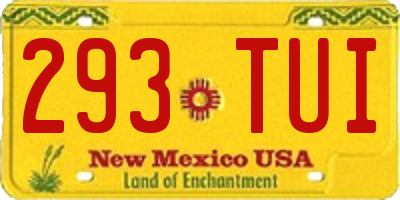 NM license plate 293TUI