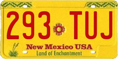 NM license plate 293TUJ