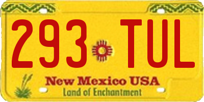 NM license plate 293TUL