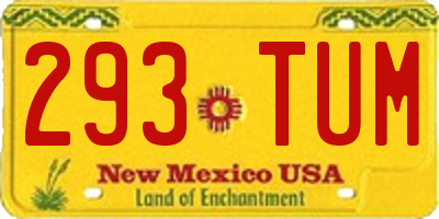 NM license plate 293TUM