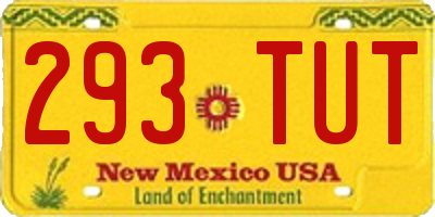 NM license plate 293TUT