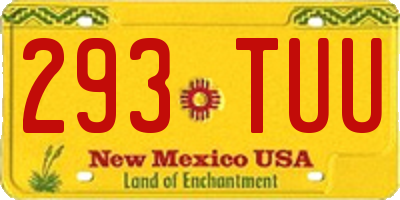 NM license plate 293TUU