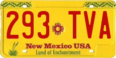 NM license plate 293TVA