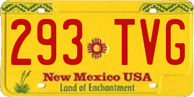 NM license plate 293TVG