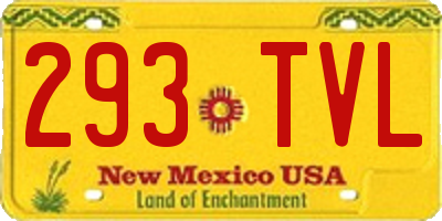 NM license plate 293TVL