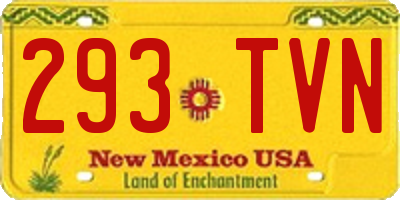 NM license plate 293TVN