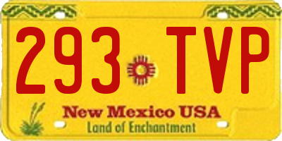 NM license plate 293TVP