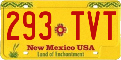 NM license plate 293TVT