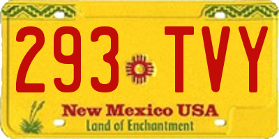 NM license plate 293TVY