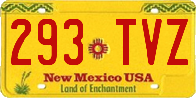 NM license plate 293TVZ