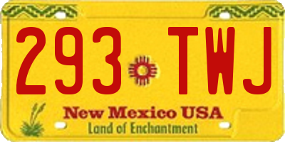 NM license plate 293TWJ