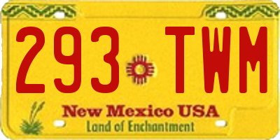 NM license plate 293TWM