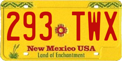 NM license plate 293TWX