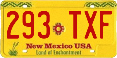 NM license plate 293TXF