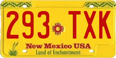 NM license plate 293TXK