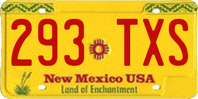 NM license plate 293TXS