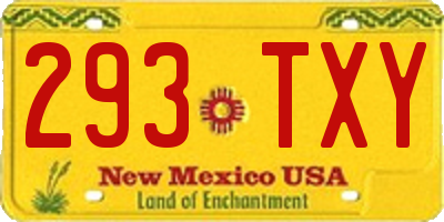NM license plate 293TXY