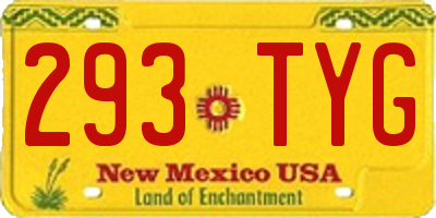 NM license plate 293TYG