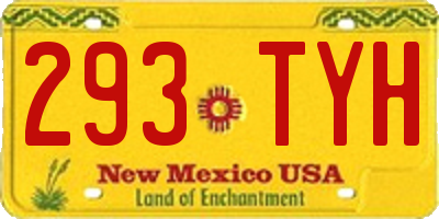 NM license plate 293TYH