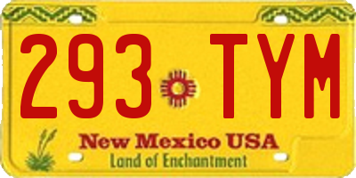 NM license plate 293TYM