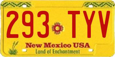 NM license plate 293TYV