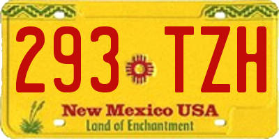 NM license plate 293TZH