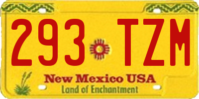 NM license plate 293TZM