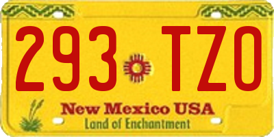 NM license plate 293TZO