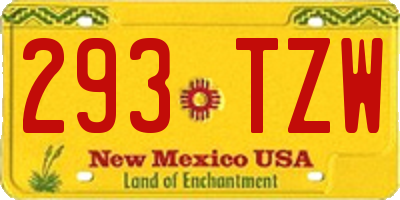 NM license plate 293TZW