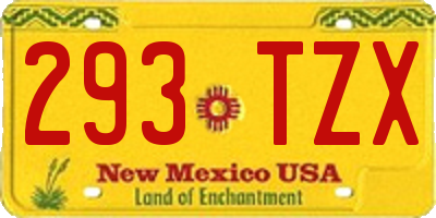 NM license plate 293TZX