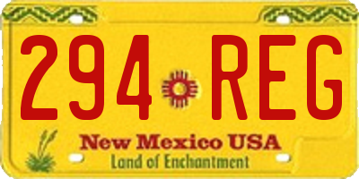 NM license plate 294REG