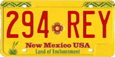 NM license plate 294REY