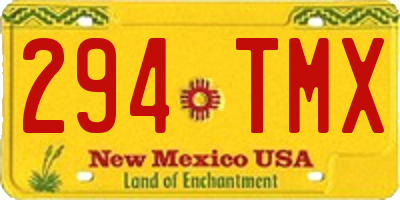 NM license plate 294TMX