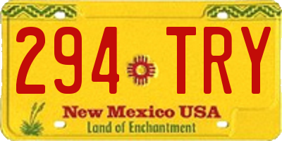 NM license plate 294TRY