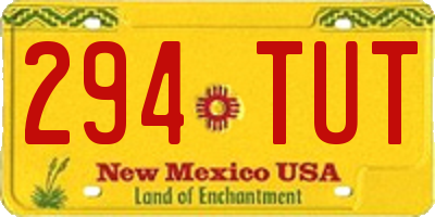 NM license plate 294TUT