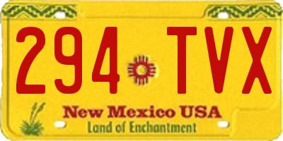 NM license plate 294TVX