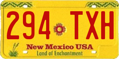 NM license plate 294TXH