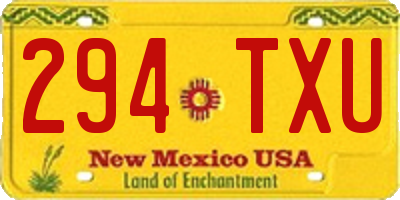 NM license plate 294TXU