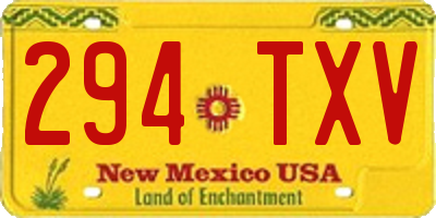 NM license plate 294TXV