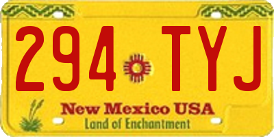 NM license plate 294TYJ
