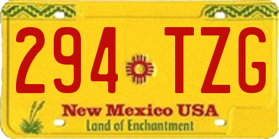 NM license plate 294TZG